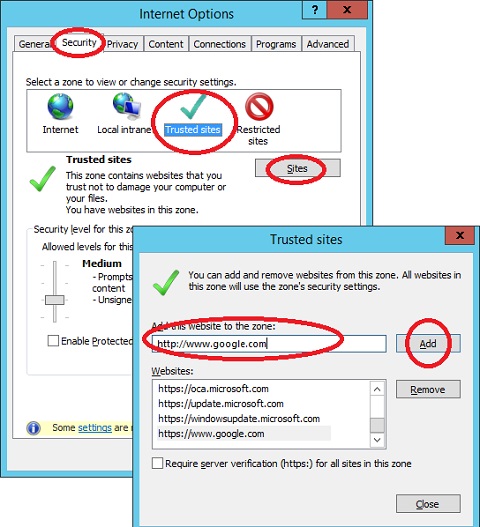 Add Website to Trusted Zone