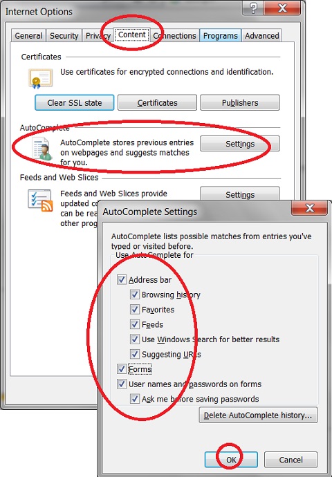 Turn On AutoComplete Feature in IE 11