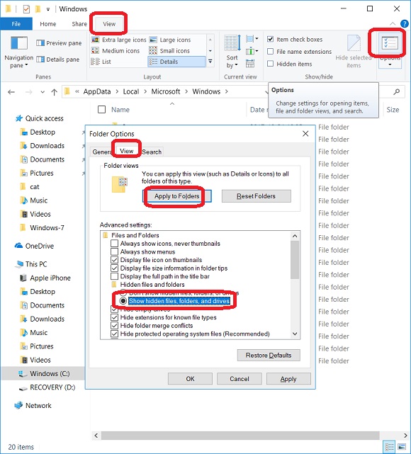 Windows 10 - Show Hidden Files
